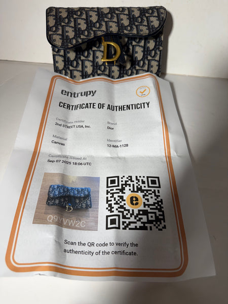 Dior Women's Saddle rectangular cloth handbag